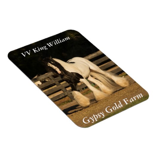 Sinti und Roma Vanner Magnet (Rechte Seite)