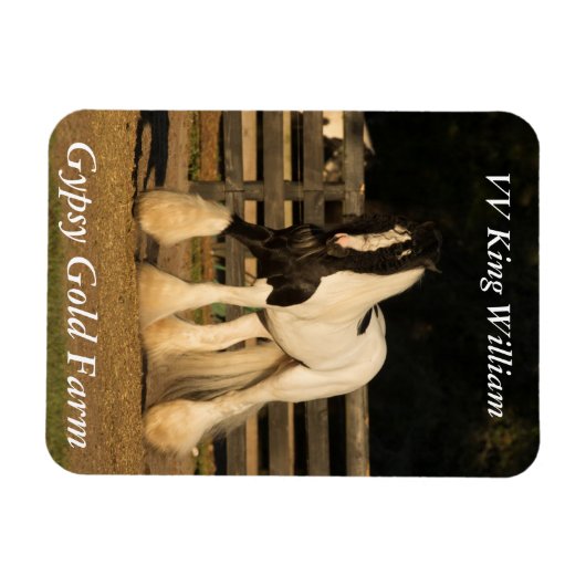 Sinti und Roma Vanner Magnet (Horizontal)