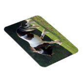 Sinti und Roma Vanner Magnet (Rechte Seite)