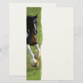 Sinti und Roma Vanner Pferd Briefpapier (Vorne/Hinten)