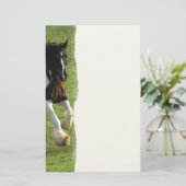 Sinti und Roma Vanner Pferd Briefpapier (Stehend Vorderseite)