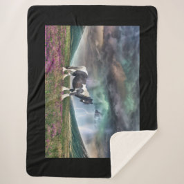 Sinti und Roma Vanner Pferd im Sturm Sherpadecke