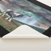 Sinti und Roma Vanner Pferd im Sturm Sherpadecke (3/4)