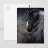 Sinti und Roma Vanner Portrait Postkarte (Vorne/Hinten)