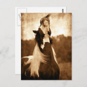 Sinti und Roma Vanner Postkarte (Vorne/Hinten)