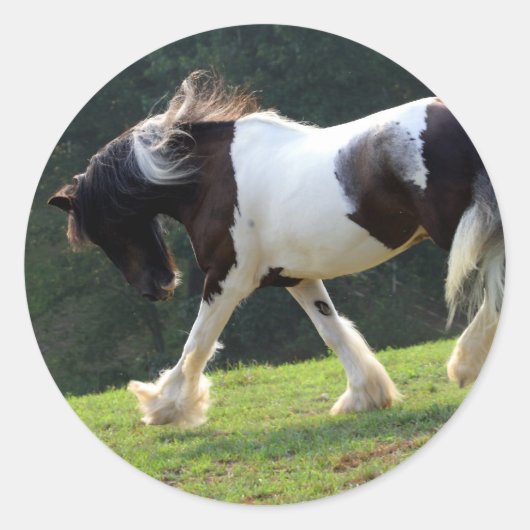 Sinti und Roma Vanner Runder Aufkleber (Vorderseite)
