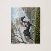 Sinti und Roma Vanner, Spring Trot Puzzle (Vertikal)