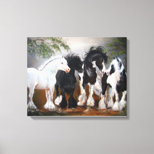 Sinti und Roma Vanner Stallions Kunstdrucke Leinwanddruck