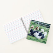 Sinti und Roma Vannerpferd im Gras rollen Notizblock (Innenseite)