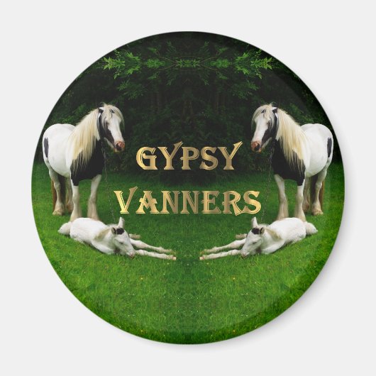 Sinti und Roma Vanners Magnet (Vorne)