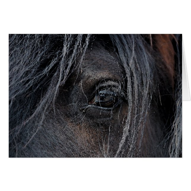 Sinti und Roma Vision II (Vorderseite (Horizontal))