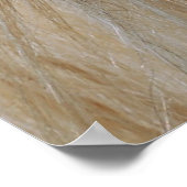 Sinti und Roma Vision Poster/Print Poster (Ecke)