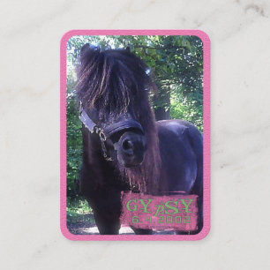 Sinti und Roma - Visitenkarte