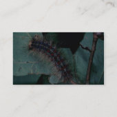 Sinti und Romamotte Visitenkarte (Rückseite)