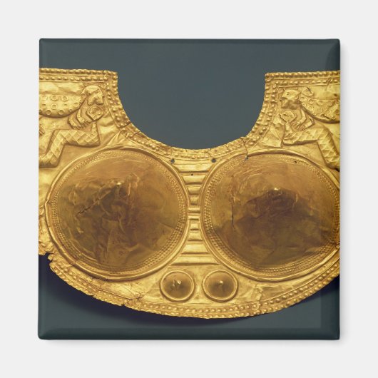 Sinu-Brustplatte Magnet (Vorne)