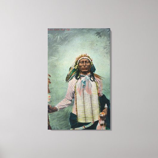 Sioux Chief Iron Schwanz Portrait Leinwanddruck (Vorderseite)