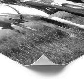 Sioux Chiefs Edward S Curtis 1905 Poster (Ecke)