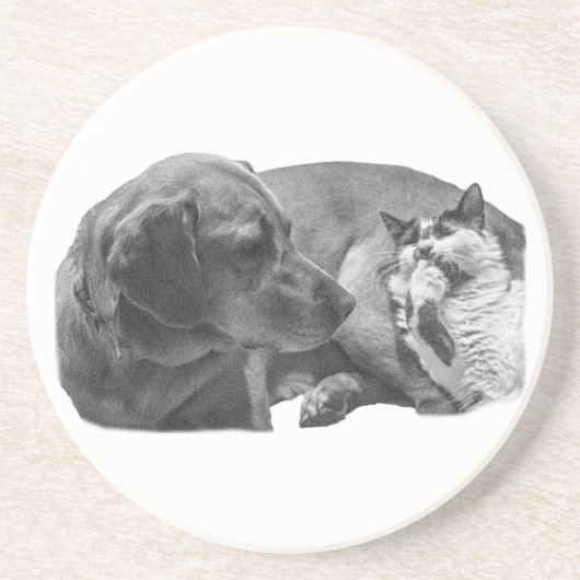 Sip Break mit Pals Getränkeuntersetzer (Vorne)