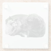 Sip Break mit Pals Glasuntersetzer (Rückseite)