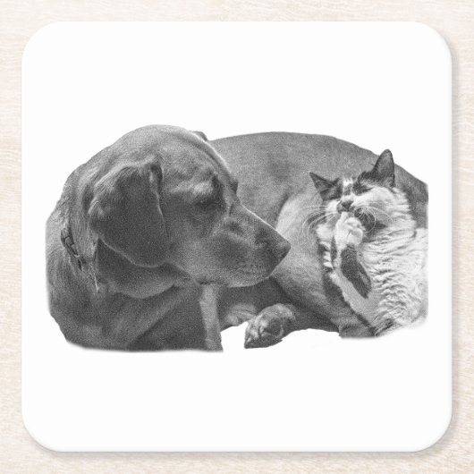 Sip Break mit Pals Rechteckiger Pappuntersetzer (Vorderseite)