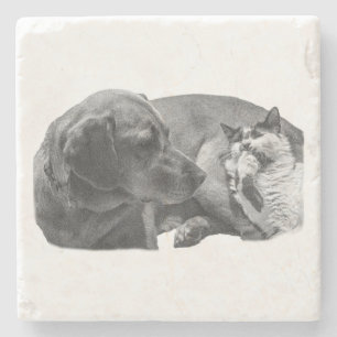 Sip Break mit Pals Steinuntersetzer