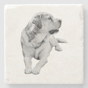 Sip Break, Steady Friend Steinuntersetzer