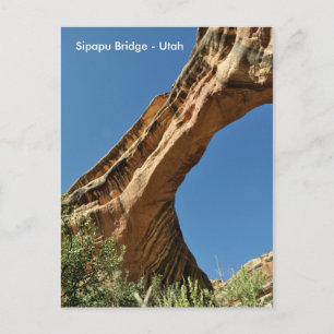 Sipapu Bridge - National Monument Natural Bridges Postkarte