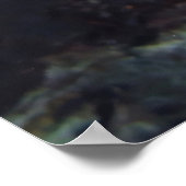 Siphon Flash Poster (Ecke)