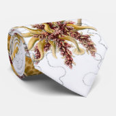 Siphonophorae Ernst Haeckel Fine Art Krawatte (Gerollt)