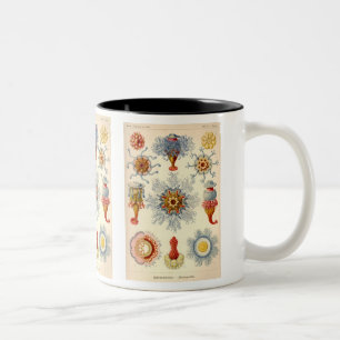 "Siphonophorae" Vintage Illustration Zweifarbige Tasse