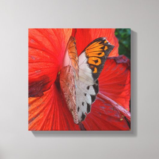 Sipping Sweetly Leinwanddruck (Vorderseite)