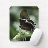 Siproeta Mousepad (Mit Mouse)