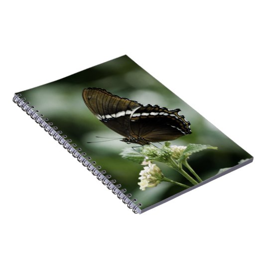 Siproeta-Notebook Notizblock (Rechte Seite)