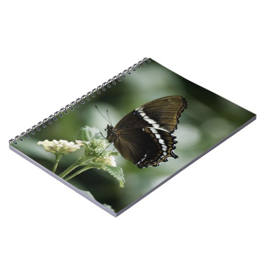 Siproeta-Notebook Notizblock (Linke Seite)