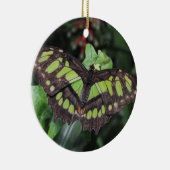 Siproeta stelenes keramikornament (Rechts)