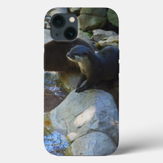 **"Sips by the Stream: Otters Drinks vom Fluss Case-Mate iPhone Hülle (Rückseite)