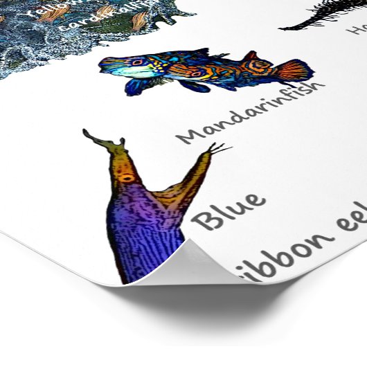 Siquijor Underwater World Poster (Ecke)