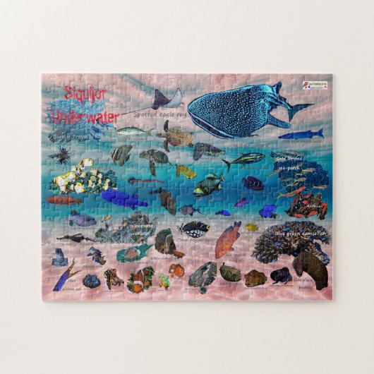 Siquijor Underwater World Puzzle (Horizontal)