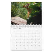Sir Bardsley 2020 Wall Calendar Kalender (Jan 2027)