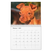 Sir Bardsley 2020 Wall Calendar Kalender (Feb 2027)