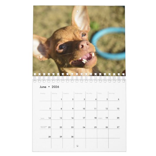 Sir Bardsley 2020 Wall Calendar Kalender (Jun 2026)