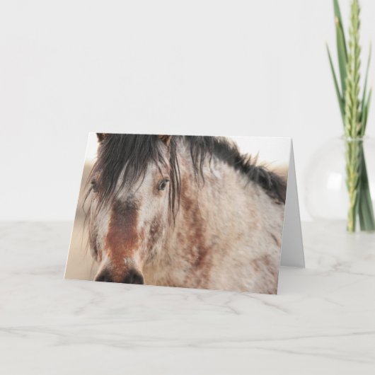 Sir Behr Blank Card Feiertagskarte (Vorderseite)