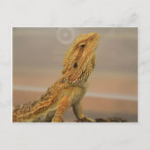 Sir Charles Posing Postkarte (Vorderseite)