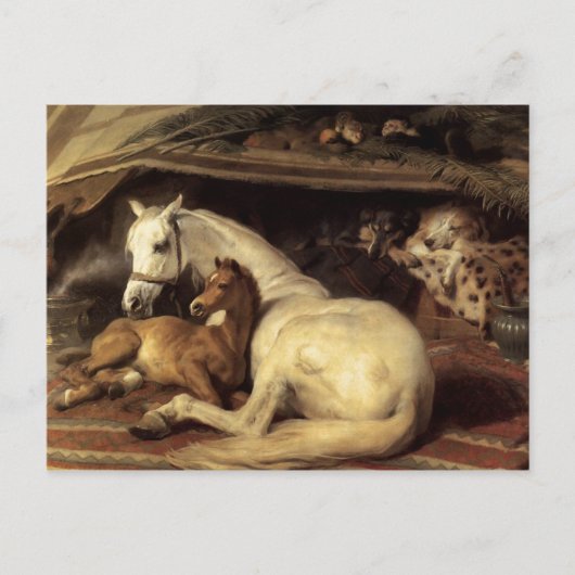 Sir Edwin Henry Landseer | Der arabische Zelt Postkarte (Vorderseite)