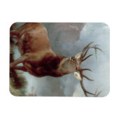 Sir Edwin Landseer | Monarch of the Glen, 1851 Magnet (Horizontal)