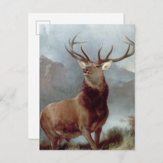 Sir Edwin Landseer | Monarch of the Glen, 1851 Postkarte (Vorne/Hinten)