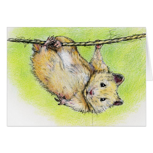 Sir Ham (Vorderseite (Horizontal))