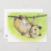 Sir Ham Postkarte (Vorne/Hinten)