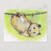 Sir Ham Postkarte (Vorderseite)