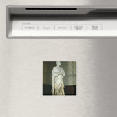 Sir Isaac Newton Magnet (In Situ (Geschirrspüler))